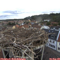 07_15-nest.jpg
