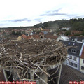 07_20-nest.jpg