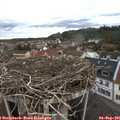 07_25-nest.jpg