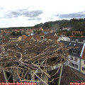07_30-nest.jpg