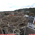 07_35-nest.jpg