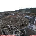07_40-nest.jpg
