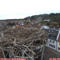 07_45-nest.jpg