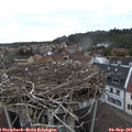 07_55-nest.jpg