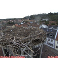 08_00-nest.jpg
