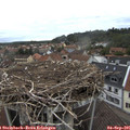 08_05-nest.jpg