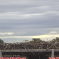 08_10-mast.jpg