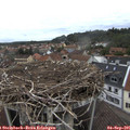 08_20-nest.jpg