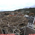 08_25-nest.jpg