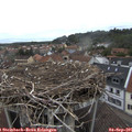 08_35-nest.jpg