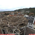 08_40-nest.jpg