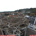 09_00-nest.jpg