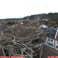09_05-nest.jpg