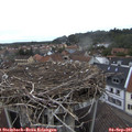 09_10-nest.jpg