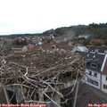 09_20-nest.jpg