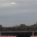 09_25-mast.jpg