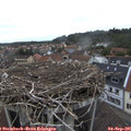 09_30-nest.jpg