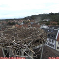 09_40-nest.jpg
