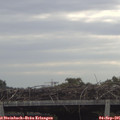 09_55-mast.jpg