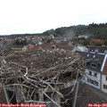 09_55-nest.jpg