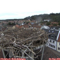 10_00-nest.jpg