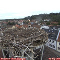 10_10-nest.jpg