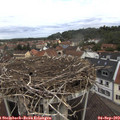 10_20-nest.jpg