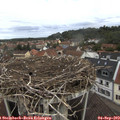 10_25-nest.jpg