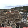 10_30-nest.jpg