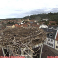 10_35-nest.jpg