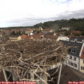 10_40-nest.jpg