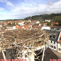 10_45-nest.jpg