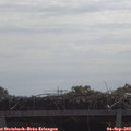 10_50-mast.jpg