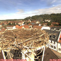 11_05-nest.jpg