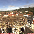 11_10-nest.jpg