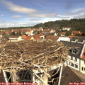 11_15-nest.jpg