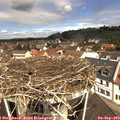 11_25-nest.jpg