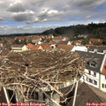 11_35-nest.jpg