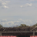 11_45-mast.jpg
