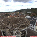 11_50-nest.jpg