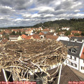 11_55-nest.jpg