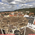 12_05-nest.jpg