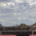 12_10-mast.jpg