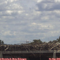 12_15-mast.jpg