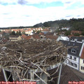 12_15-nest.jpg