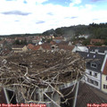 12_20-nest.jpg
