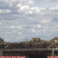 12_25-mast.jpg