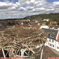 12_25-nest.jpg