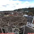 12_30-nest.jpg