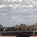 12_35-mast.jpg